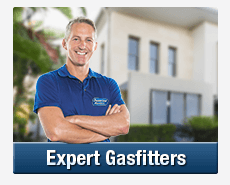 Expert Gasfitters Botany